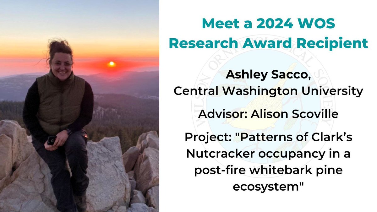 Wilson Ornith Soc (@wilsonornithsoc) on Twitter photo Central Washington University's Ashley Sacco received a 2024 WOS Research Award for the project "Patterns of Clarkās Nutcracker occupancy in a post-fire whitebark pine ecosystem." Congrats to Ashley and all 2024 recipients! wilsonsociety.org/2024/08/15/202⦠Central Washington University's Ashley Sacco received a 2024 WOS Research Award for the project "Patterns of Clarkās Nutcracker occupancy in a post-fire whitebark pine ecosystem." Congrats to Ashley and all 2024 recipients! wilsonsociety.org/2024/08/15/202ā¦