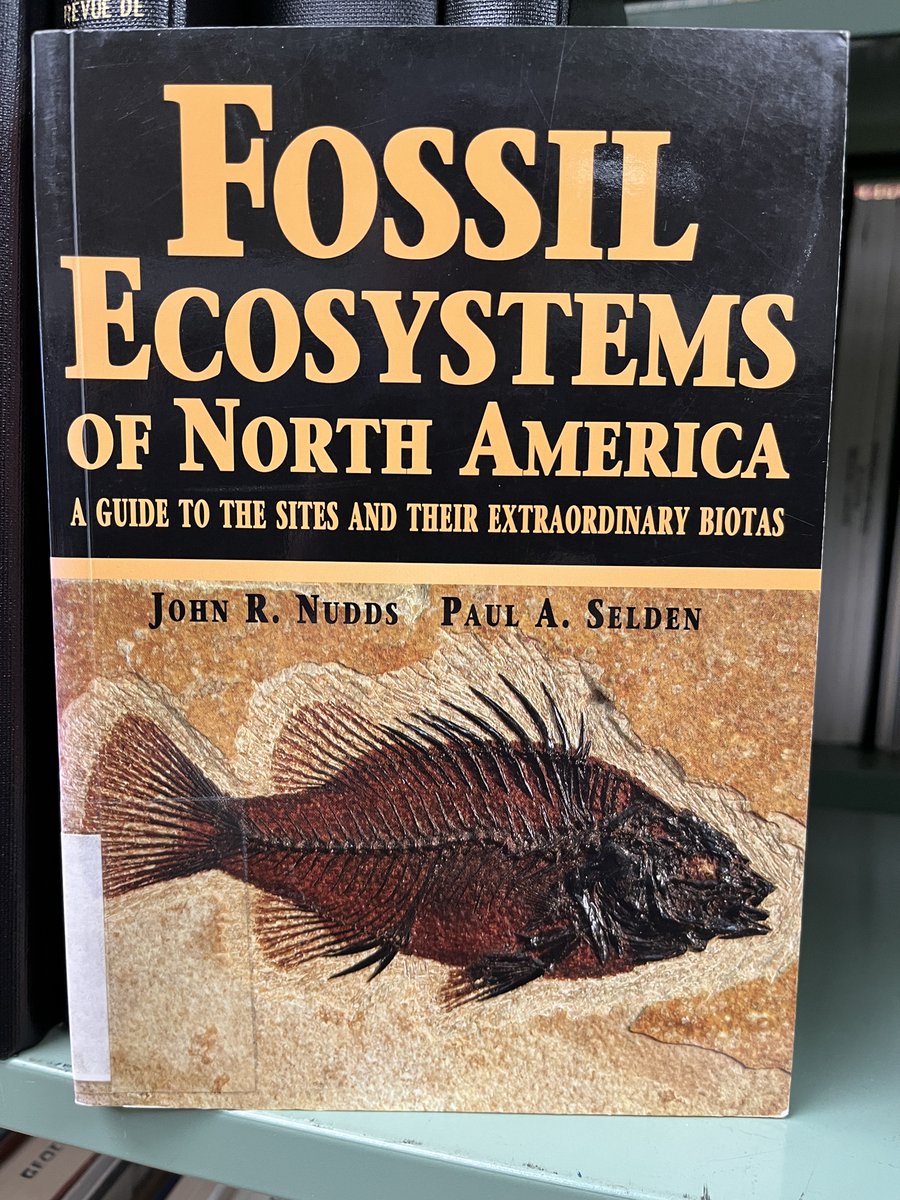 UTGeoLib's tweet image. In the stacks:
Fossil ecosystems of North America : a guide to the sites and their extraordinary biotas / John R. Nudds, Paul A. Selden. University of Chicago Press, 2008. #fossils #guidebooks