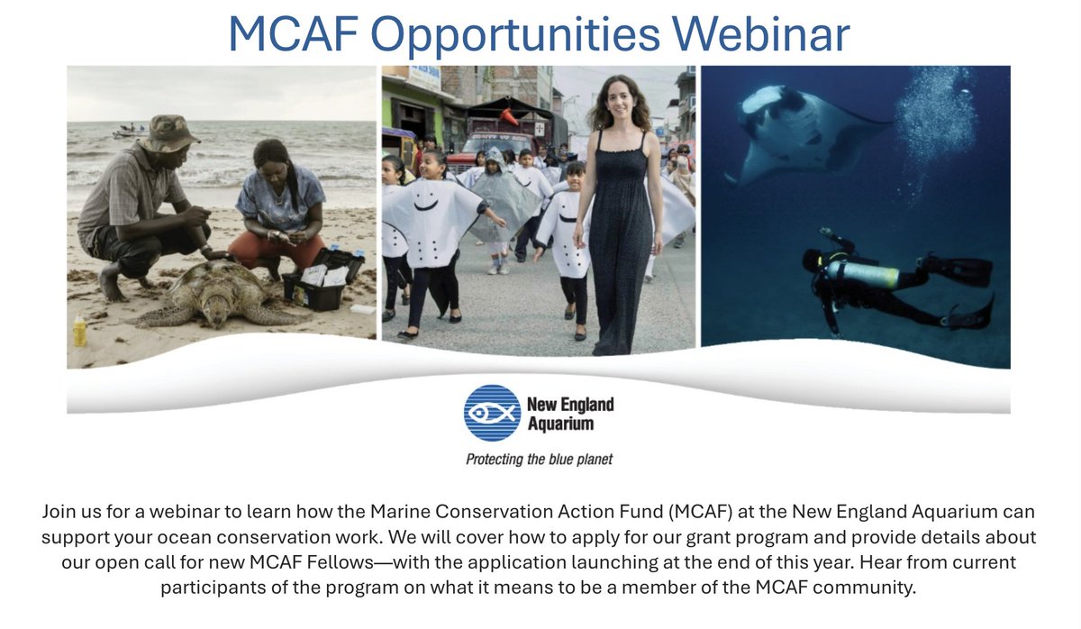 Interested to learn how MCAF can support your ocean conservation work? 🌊 Join us online to hear about our grants + our open call for fellows, launching later this year!

Register:
October 24 at 12 p.m. ET
lp.constantcontactpages.com/ev/reg/zyrmp75…
OR
October 28 at 7 p.m. ET
lp.constantcontactpages.com/ev/reg/u66t59j…