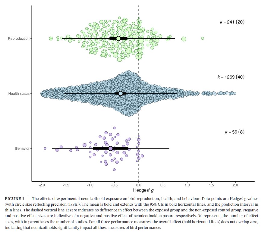 Jelle Van den Berghe tweet media