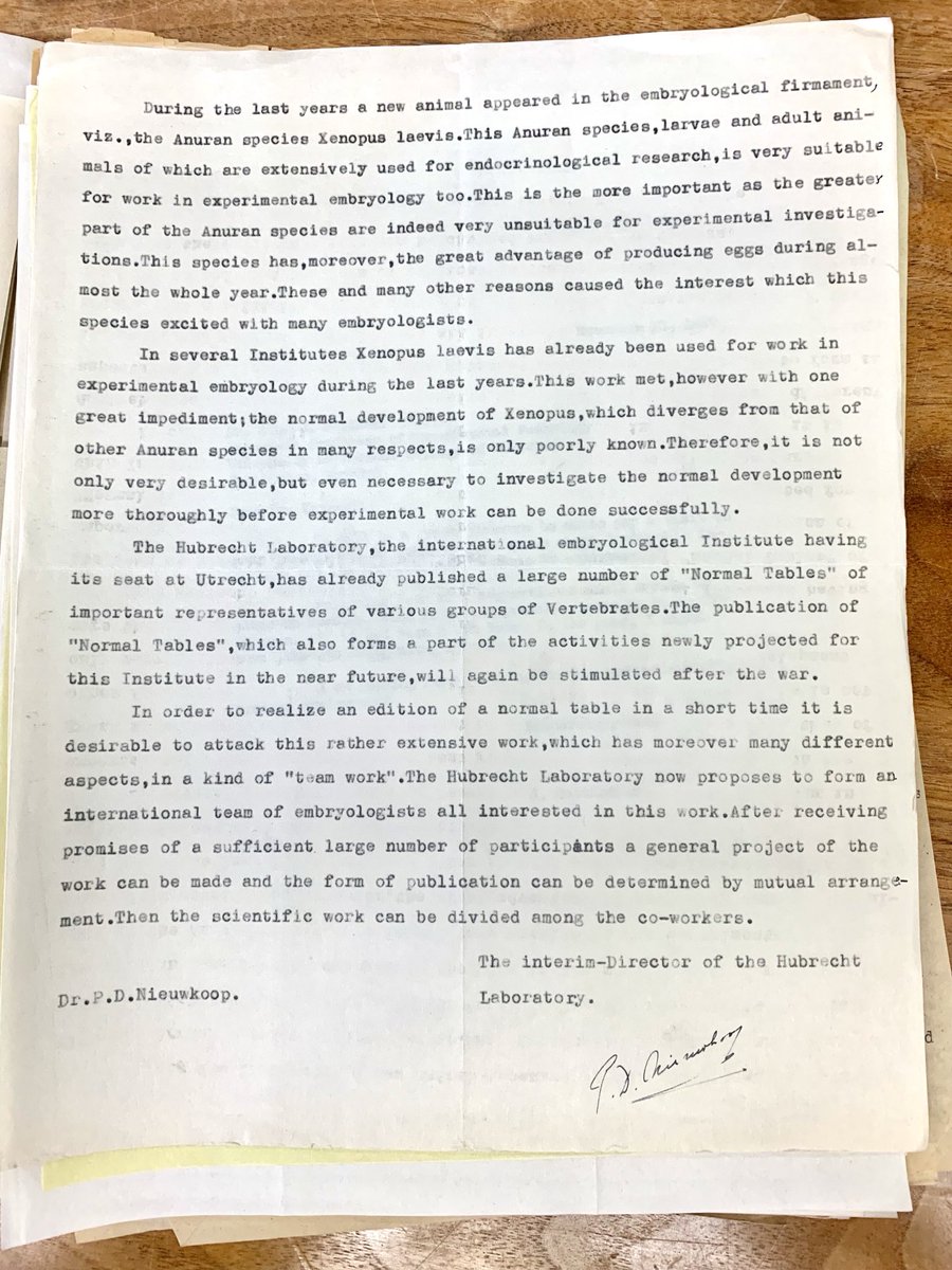 Nieukoop to Holtfreter, April 1948:  “….a new animal appeared in the embryological firmament…” #xenopus. ⁦<a href="/XenopusNXR/">National Xenopus Resource</a>⁩ ⁦<a href="/Xenbase/">Xenbase</a>⁩