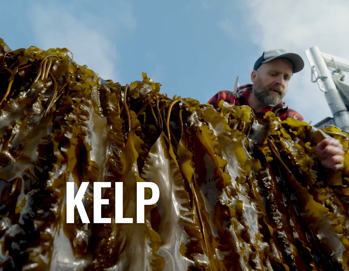 The TreadRight Foundation tweet media