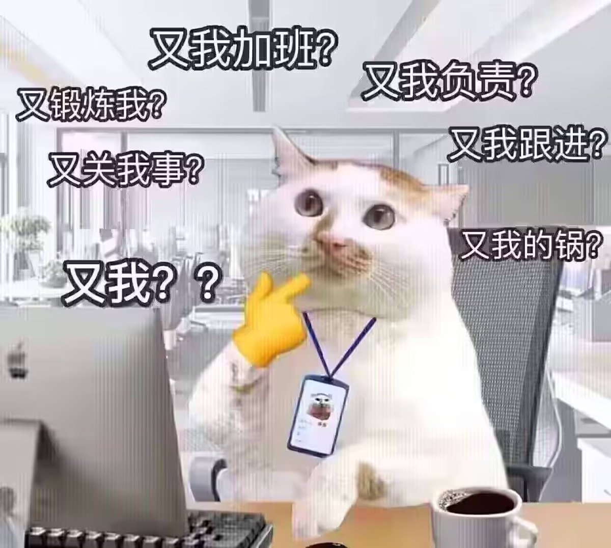 anananchyan's tweet image. x友看的開心的話可以獎勵主播多上班買新衣服。。。（大概率無回報）
喜歡一花的都是有品味的人。