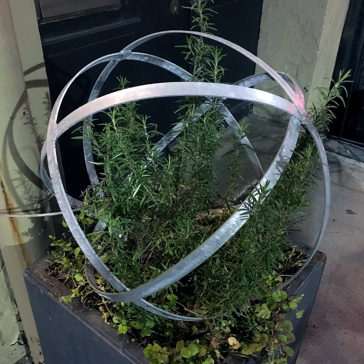 round_museum's tweet image. An Herbcentric Universe Round
.
With armillary rings forming a celestial globe, you could imagine the center of the universe represented with rosemary model.
.
10.10.24
#rounddujour #armillary #celestialglobe #copernicus #ptolemy #centeroftheuniverse
RoundMuseum.com