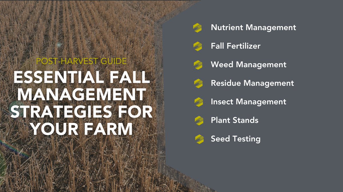 SaskBarley's tweet photo. Ready to boost next year's yield? 🌱 Check out this guide on essential fall farm tasks —nutrient management, weed control, insect pressure & more.
📖 https://t.co/4btyYtZS2o
In collaboration with @mb_cropalliance @AlbertaGrains @SaskWheat
#FallManagement #SaskAg #Harvest24 https://t.co/XMMgn18glI