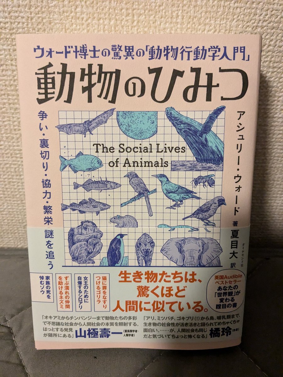 DX033330's tweet photo. 面白そうな本見つけたんで衝動買い😆
700ページなんで何日かかることやら笑 https://t.co/4JneRX0l1D