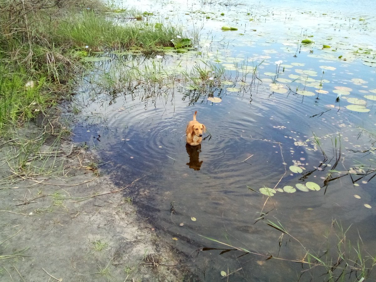 info4u2use's tweet image. #NeedsVerification 

This needs some extra context and related thinking !! 

#Frankie2Socks