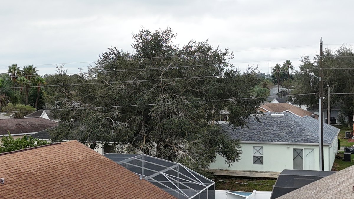 AboveBoundary's tweet photo. @DukeEnergy There is a branch on the power line in between the subdivisions of Davenport Lakes and Bass Lake in #FourCornersFlorida 33897. #HurricaneMilton https://t.co/CX8eF9Sinx