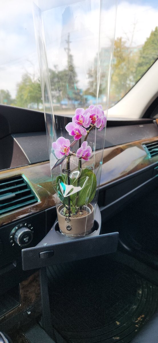 How I pimp my ride 
#happymentalhealthday #MentalHealthMatters #selflove #Selfcarestrategies