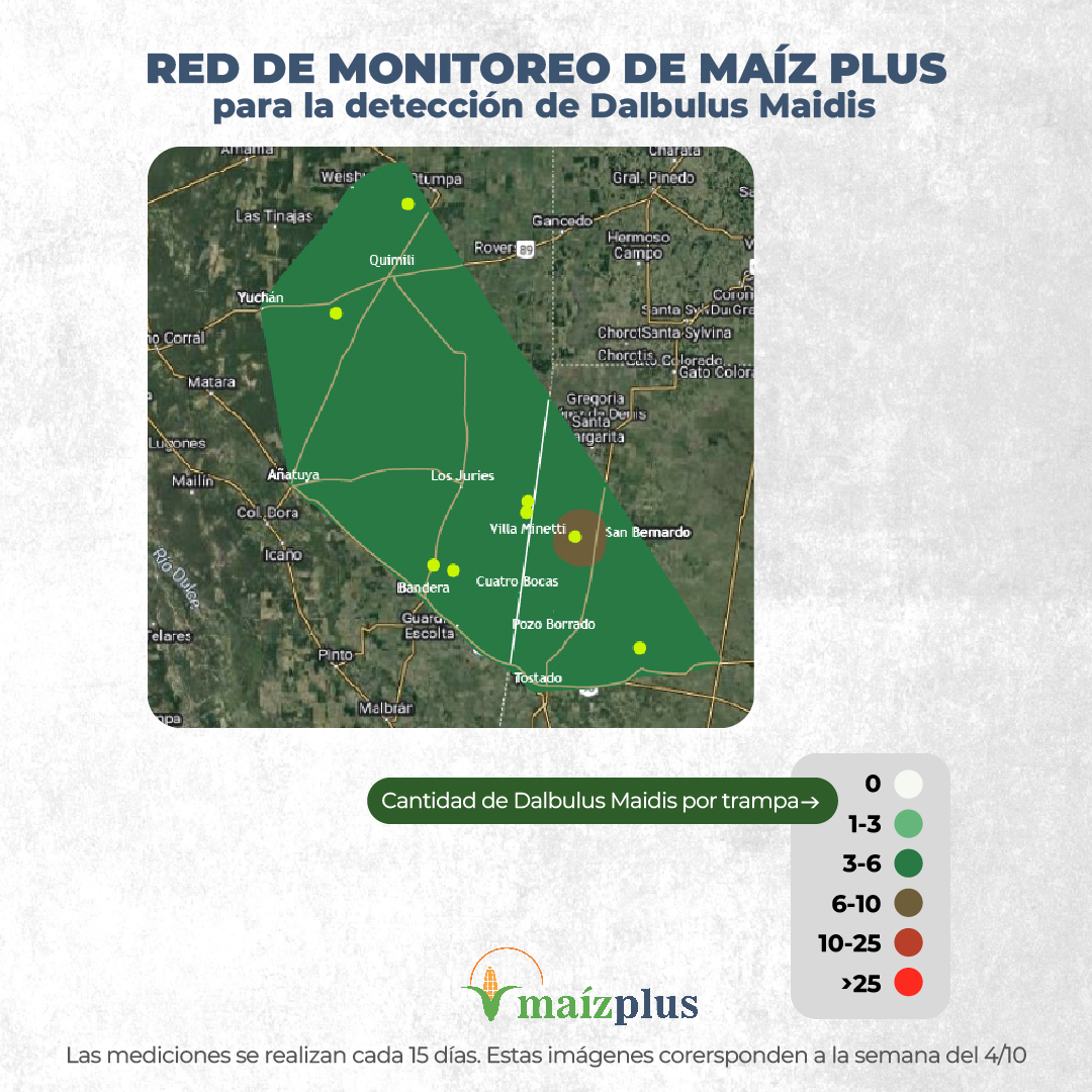 agroideas_sa's tweet photo. Seguimos generando nuestras propias redes de monitoreo para la detección de #DalbulusMaidis en lotes trabajados con el servicio Maíz Plus 🌽

Contrata Maíz Plus y obtené todos los beneficios vinculados a innovación y desarrollo tecnológico en el agro 🤝🏽

#Chicharrita #Campo #Arg https://t.co/HpmN7mt7cI