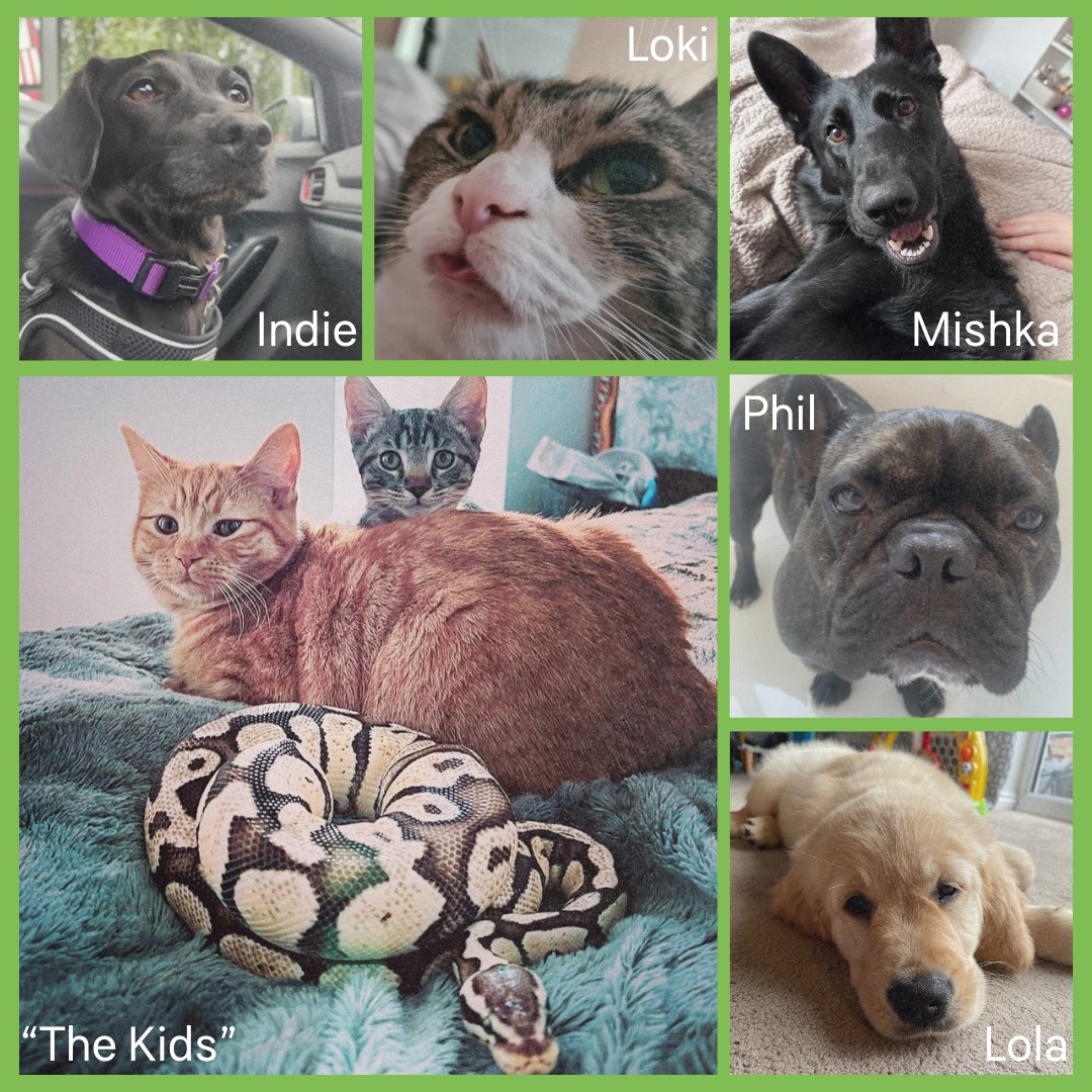It’s World Mental Health Day, we’re marking the occasion by celebrating the pets who keep us happy and healthy. They join us for video calls, snuggle on our laps when we’re stressed, and never let us forget the importance of daily walks. Ever. 

#WorldMentalHealthDay