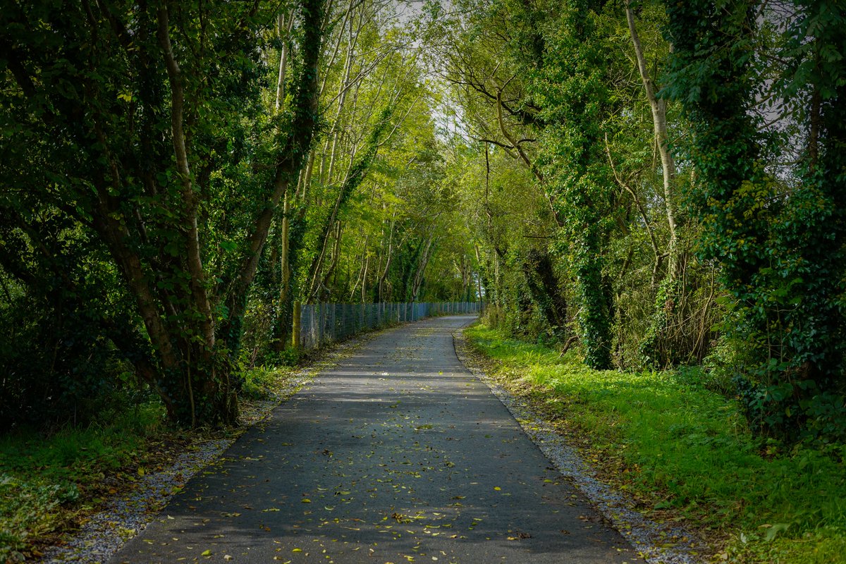 Kingdom of Kerry Greenways tweet media