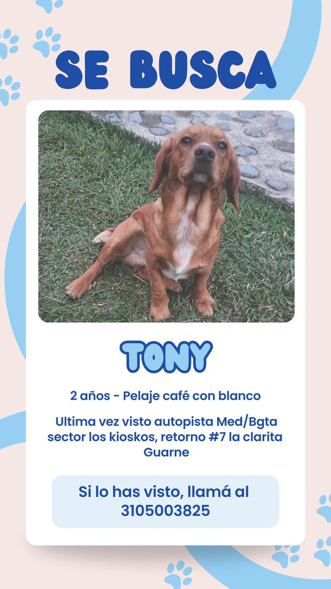 Aranguito16's tweet photo. Por favor ayúdenme a encontrarlo 🙏🏻🙏🏻
#Guarne https://t.co/q75zkKpd9F