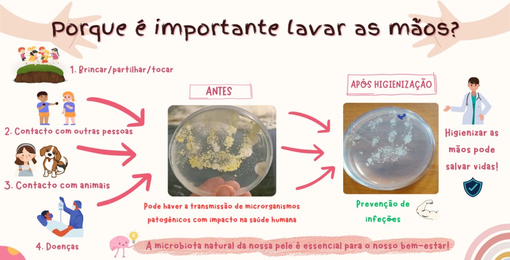 Hoje apresentamos mais um "Cartoons da Microbiologia"    

🦠Micróbios nas nossas mãos?

👉Autores: Ana Margarida Teixeira e Inês Leão 

Escola Superior de Biotecnologia, Universidade Católica Portuguesa

cartoonmicrobiologia.com/2024/08/01/mic…