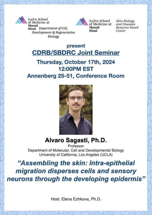SBDRC at Mount Sinai (@sbdrcatmtsinai) on Twitter photo Please join us on Oct 17th for the <a href="/SBDRCatMtSinai/">SBDRC at Mount Sinai</a> Seminar in collaboration with <a href="/CDRBSinai/">CDRB Mount Sinai</a>. Dr. Sagasti will be presenting his lab's exciting work on epithelial cells and sensory neurons. External members look out for an email with Zoom details! Please join us on Oct 17th for the <a href="/SBDRCatMtSinai/">SBDRC at Mount Sinai</a> Seminar in collaboration with <a href="/CDRBSinai/">CDRB Mount Sinai</a>. Dr. Sagasti will be presenting his lab's exciting work on epithelial cells and sensory neurons. External members look out for an email with Zoom details!