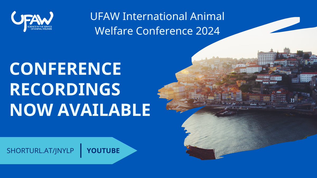 🎥The recordings from our two-day International Animal Welfare Conference in Porto are now available on YouTube. 

Catch up on all the insightful sessions by following this link:  ow.ly/5XgM50TIQrW
