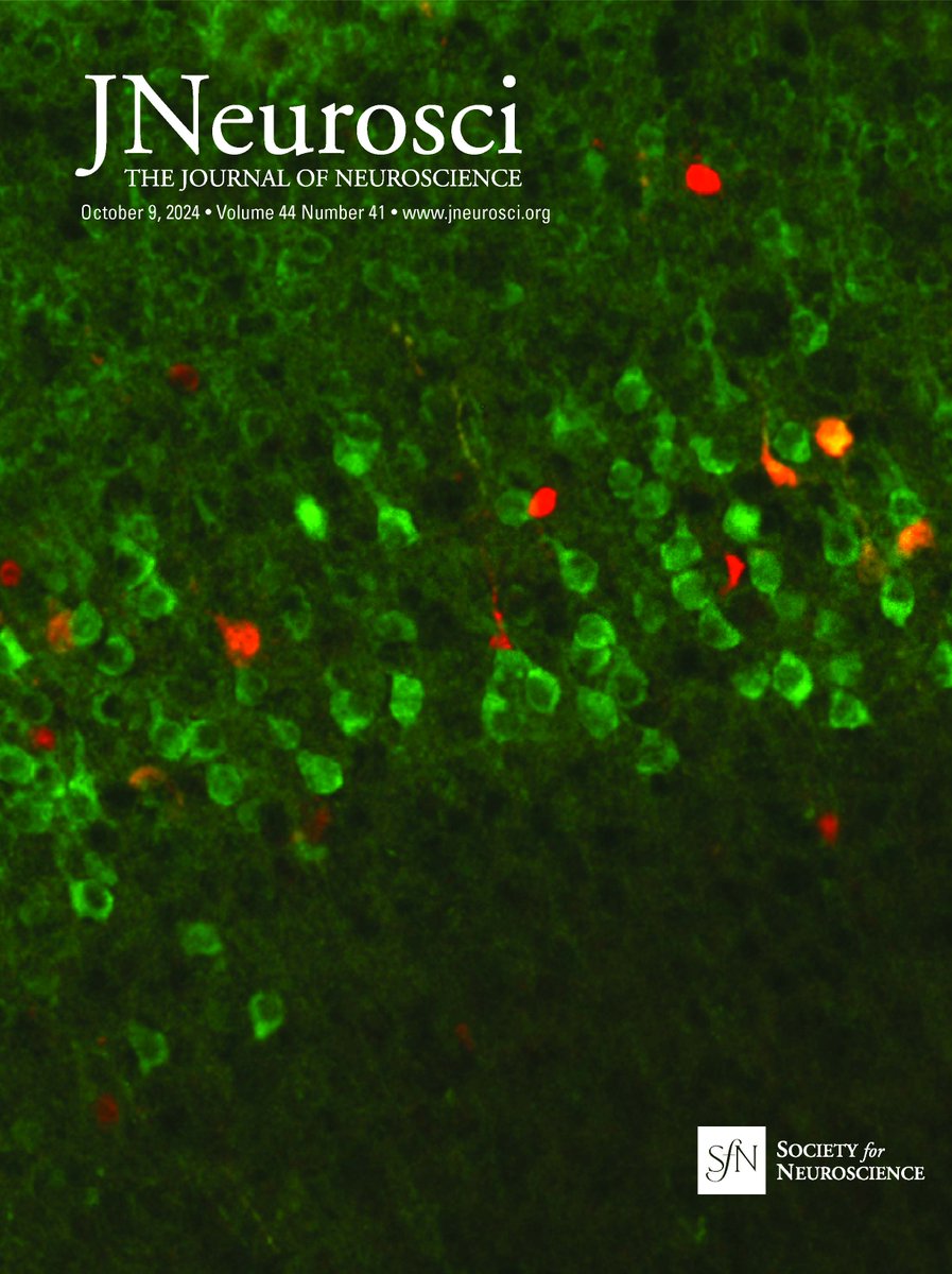 Iowa Neuroscience Institute (@uiowaneuro) on Twitter photo Cover story! Congratulations to the Glykys Lab <a href="/UIowaPeds/">UI Stead Family Department of Pediatrics</a>
jneurosci.org/content/44/41.… Cover story! Congratulations to the Glykys Lab <a href="/UIowaPeds/">UI Stead Family Department of Pediatrics</a>
jneurosci.org/content/44/41.…