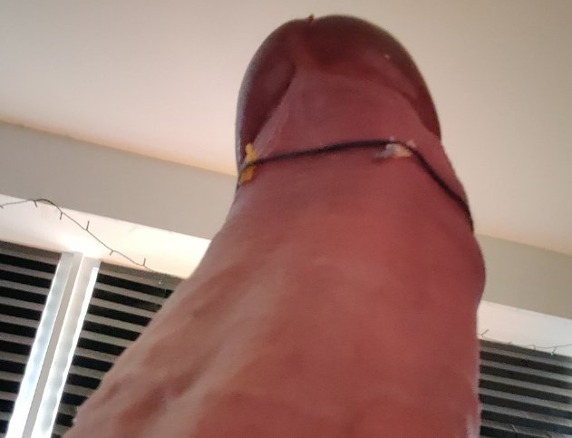 OversizeAurmael's tweet photo. wow i have an onlyfans account?! oh look, it's linked in my bio 💅

we got:
- being a big, hung show off
- doing filthy things to tinies
- feet (probably) https://t.co/DIC6fspMXA