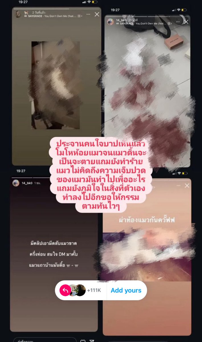 juเน๋ tweet media