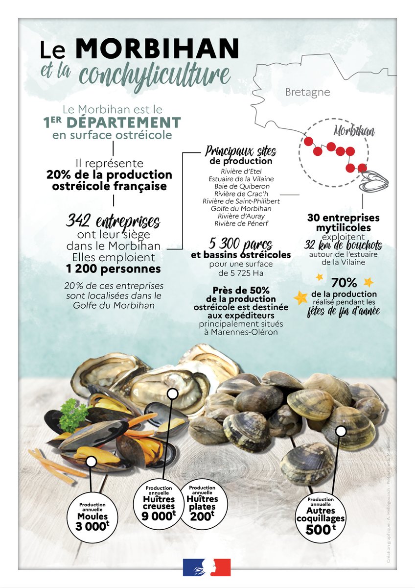 #Conchyliculture | 🐚 
Alors  que les Rencontres nationales de la Conchyliculture et des Cultures  marines s'achèvent ce jour au Parc Chorus de #Vannes, voici en une  infographie les principales données de la conchyliculture dans le #Morbihan.