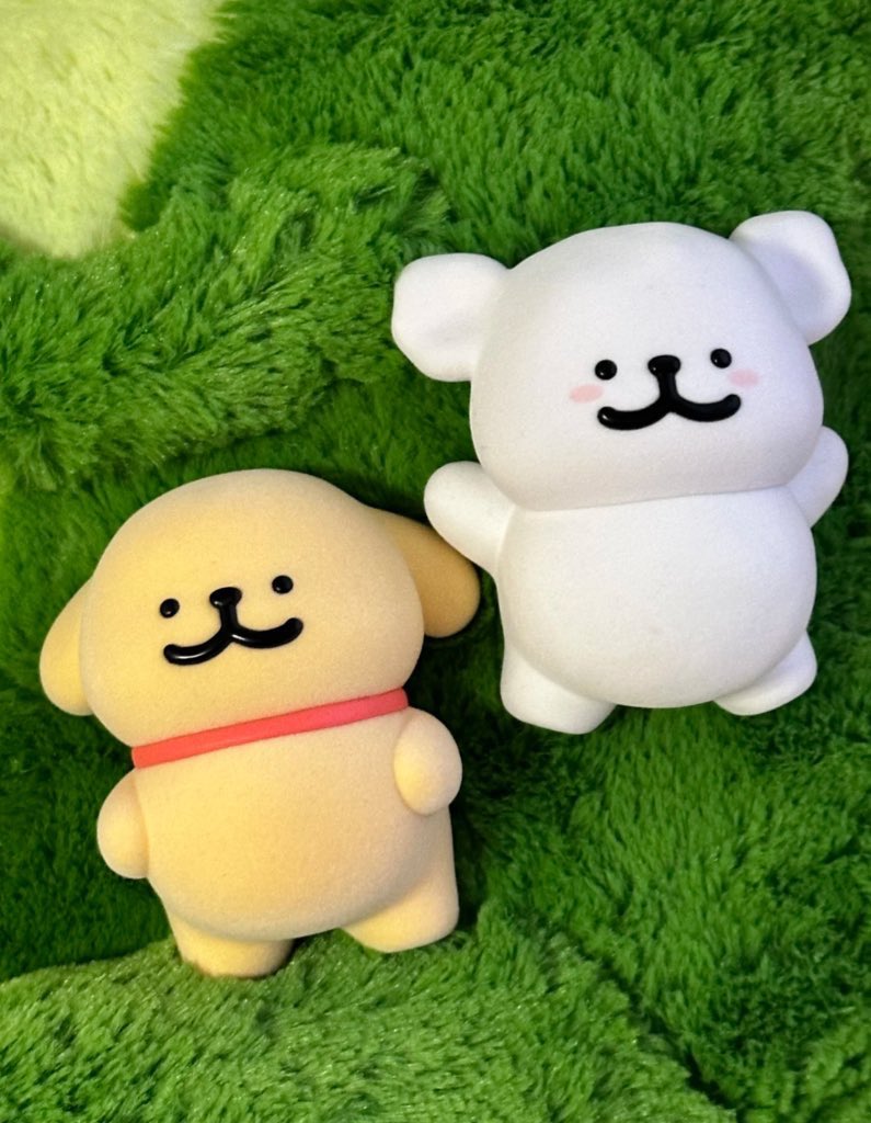 Maltese พุงเต่งงง🐶🐶