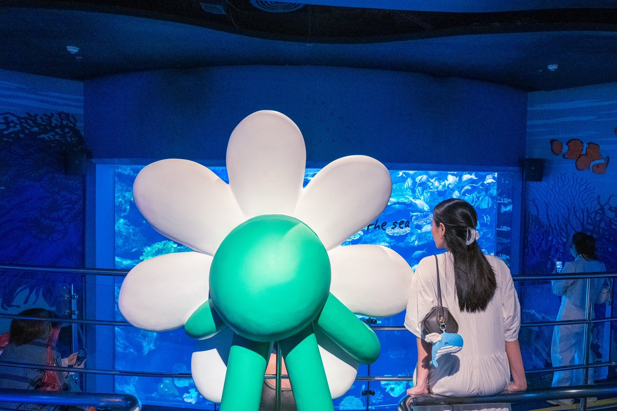 flyingwhalemag's tweet photo. 🌸Wave of Bloom คือ นิทรรศการศิลปะใน Aquarium จากความร่วมมือระหว่าง SEA LIFE Bangkok และศิลปินมากฝีมืออย่าง Vachboy (บุ๋น-วัชรพงศ์ บูรณะกิจเจริญ) https://t.co/vwoyamqnTk