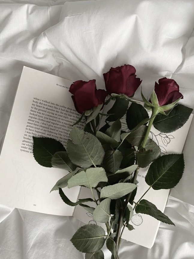 bleuwrites_'s tweet photo. thorns and roses.
— a #jenyang filo au
Our love was as beautiful as a rose, but its thorns left wounds... can we ever truly heal, or will the thorns always remind us of our heartache? https://t.co/5LDcHK2vkB