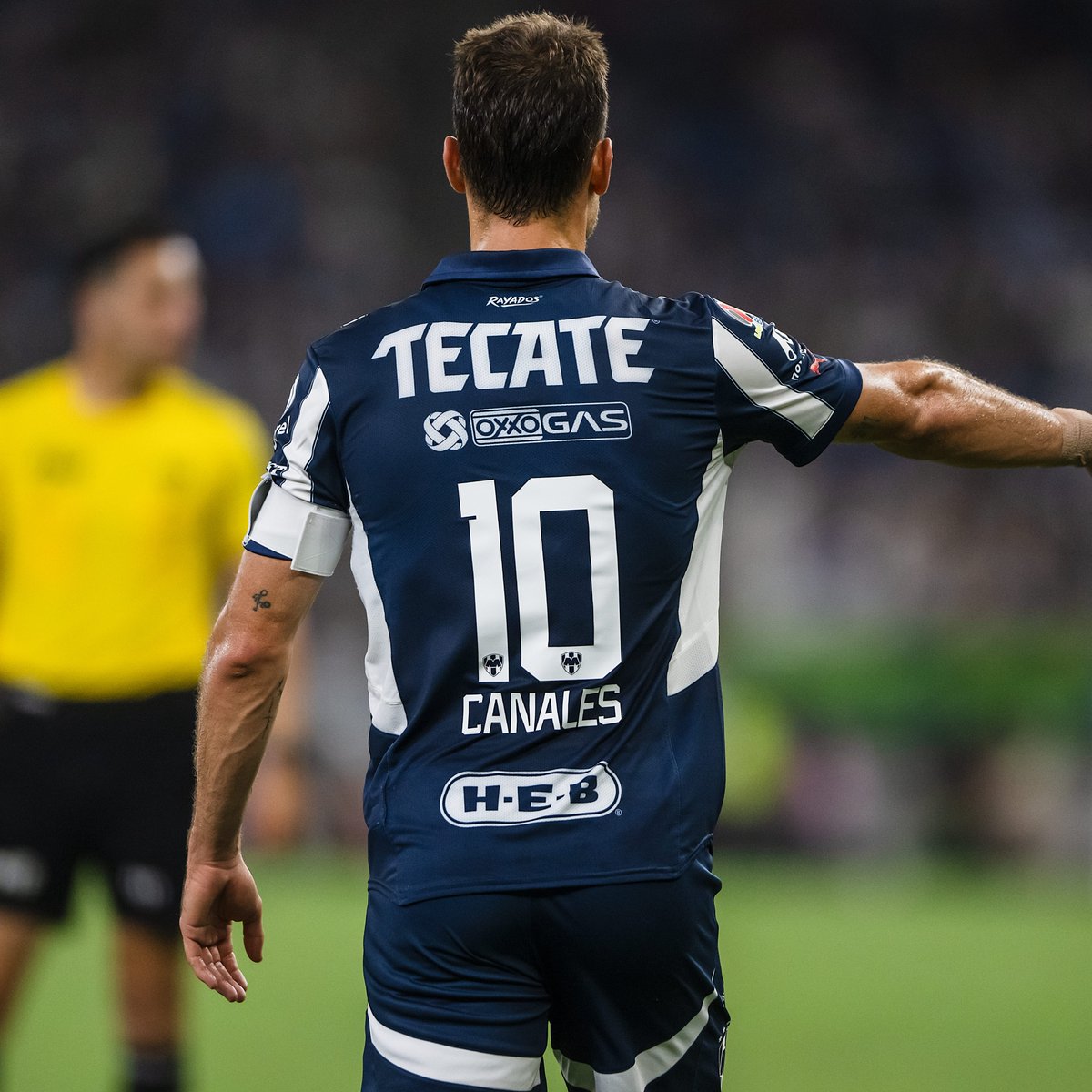 Rayados's tweet image. Hoy es...💙🤍