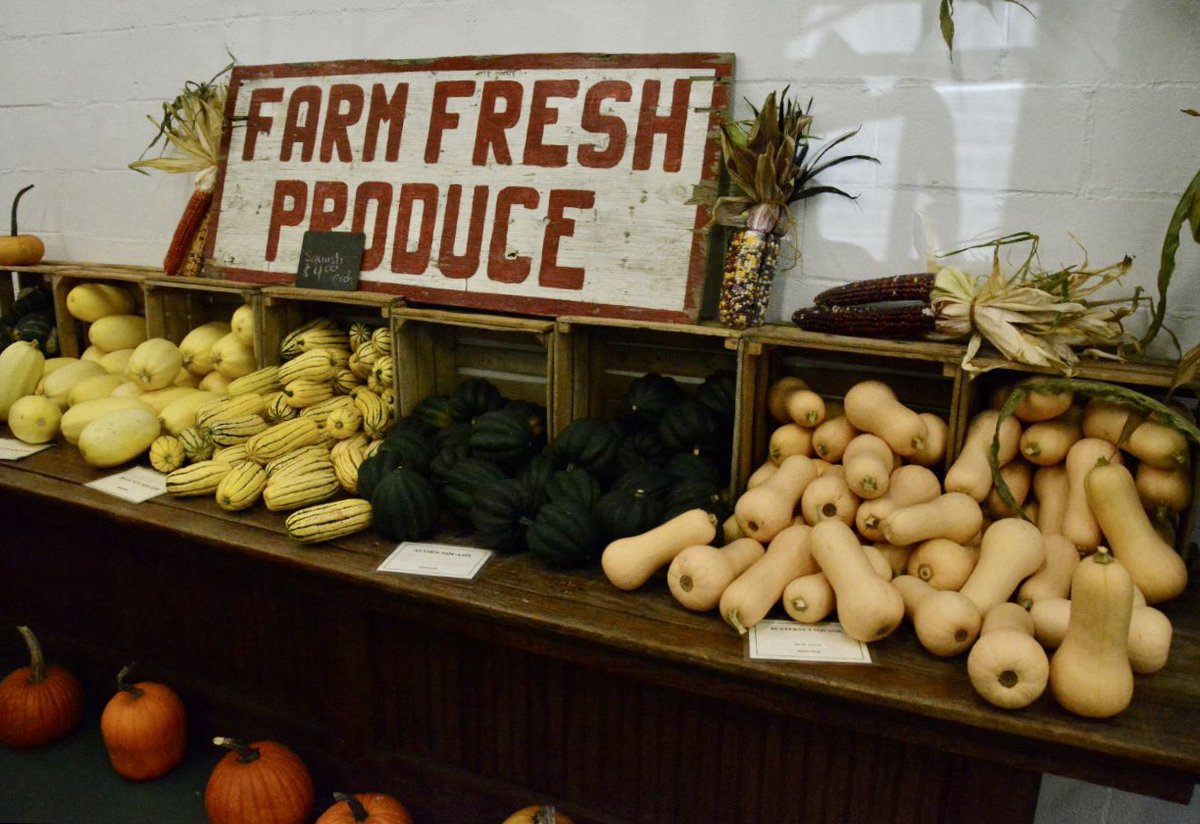 rochestercider's tweet photo. Farm fresh produce, antique farm tools, & Indian corn are a few of many specialty items we carry inside the mill. Perfect for the autumn season! 🍂🍏
#MichiganCiderMills #RochesterCiderMill #OaklandCounty #MichiganAg #FallFavorites #Cornstalks #AutumnVibes #MichiganGrown https://t.co/CfnVTkMMWp