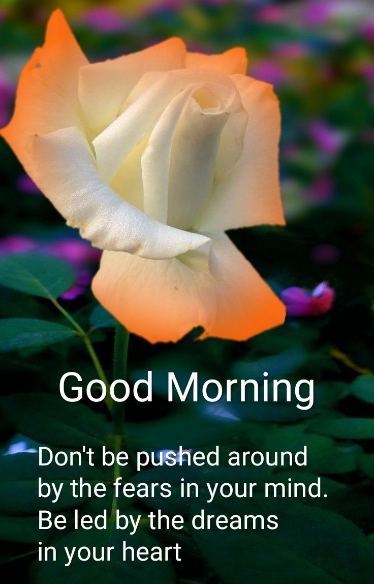 RClassRon's tweet image. GM