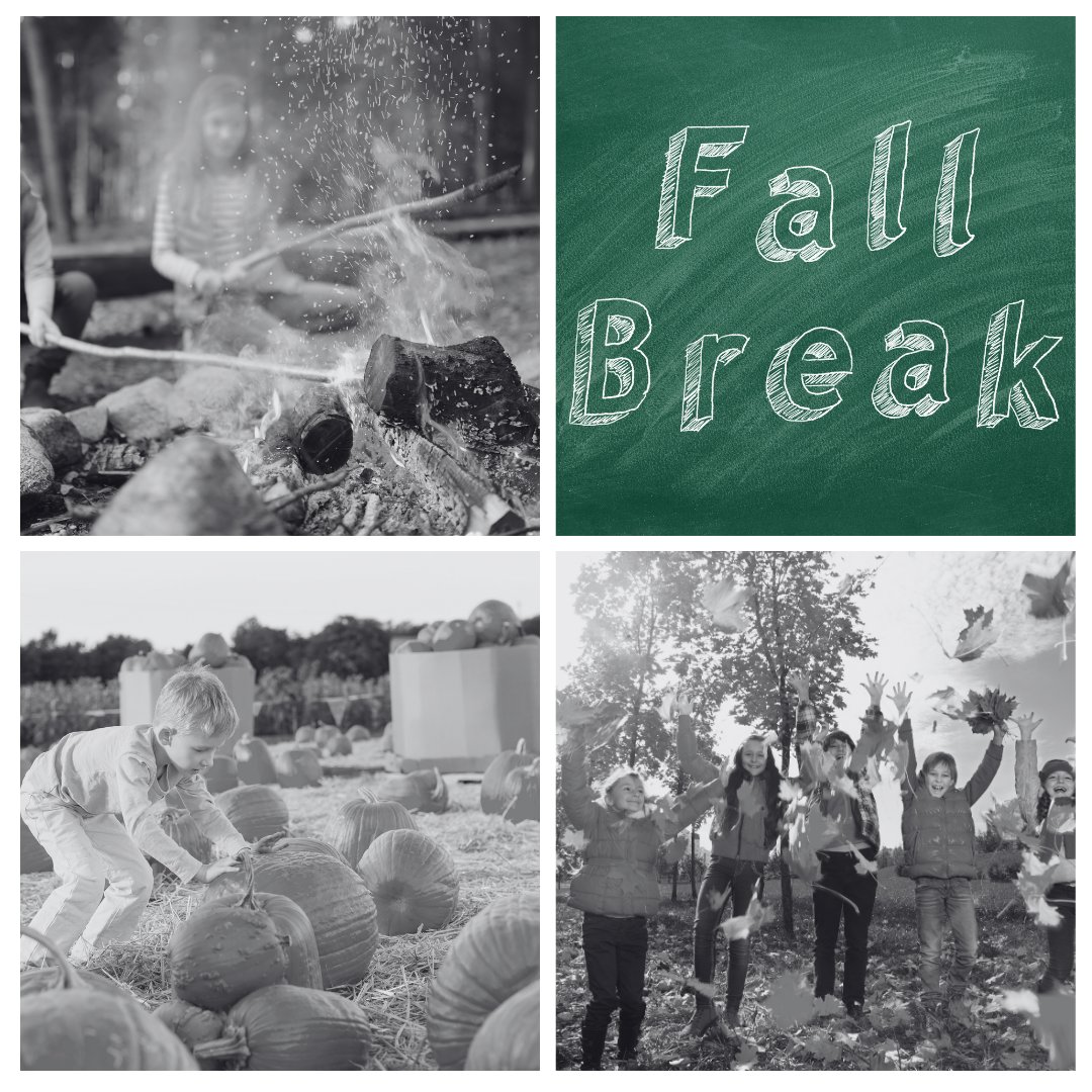 vigo_county's tweet image. The Vigo County Commissioners wish all students, teachers, and staff a wonderful fall break! 🍁 Take this time to recharge, enjoy the autumn weather, and spend time with loved ones. Whether traveling or relaxing, enjoy this well-deserved break!

#VigoCounty #VCSC #AutumnVibes