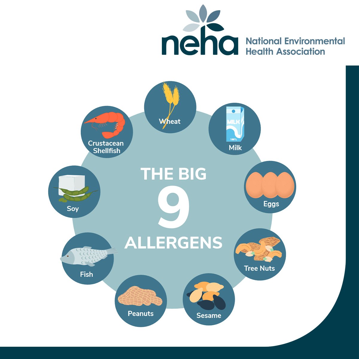 RFSCollab's tweet photo. Share this allergen poster with your facilities and use the allergen checklist for your inspections. Both resources were developed by @nehaorg’s Food Safety Program Committee. https://t.co/CBQVMFfQfo https://t.co/v5DiQq6Kyp