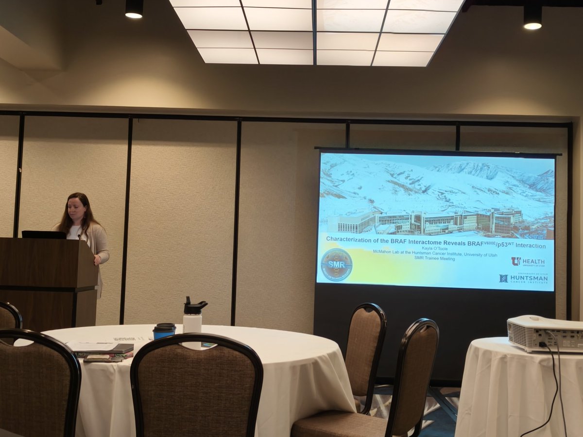 daniela_oaks's tweet image. Now we are listening to @kaytool @huntsmancancer tell us about the BRAF interactome in #melanoma #TraineeMeeting @SocietyMelanoma