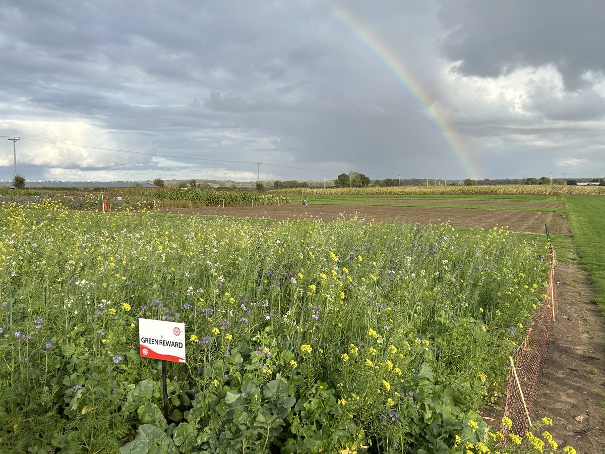 Exciting times with a new role, market leaders in OSR, Maize, Wheat, Barley, Pulses and a whole range of other species as can be seen on our trial site, including pots of gold! ⁦<a href="/LGSeedsUK/">LGSeedsUK</a>⁩