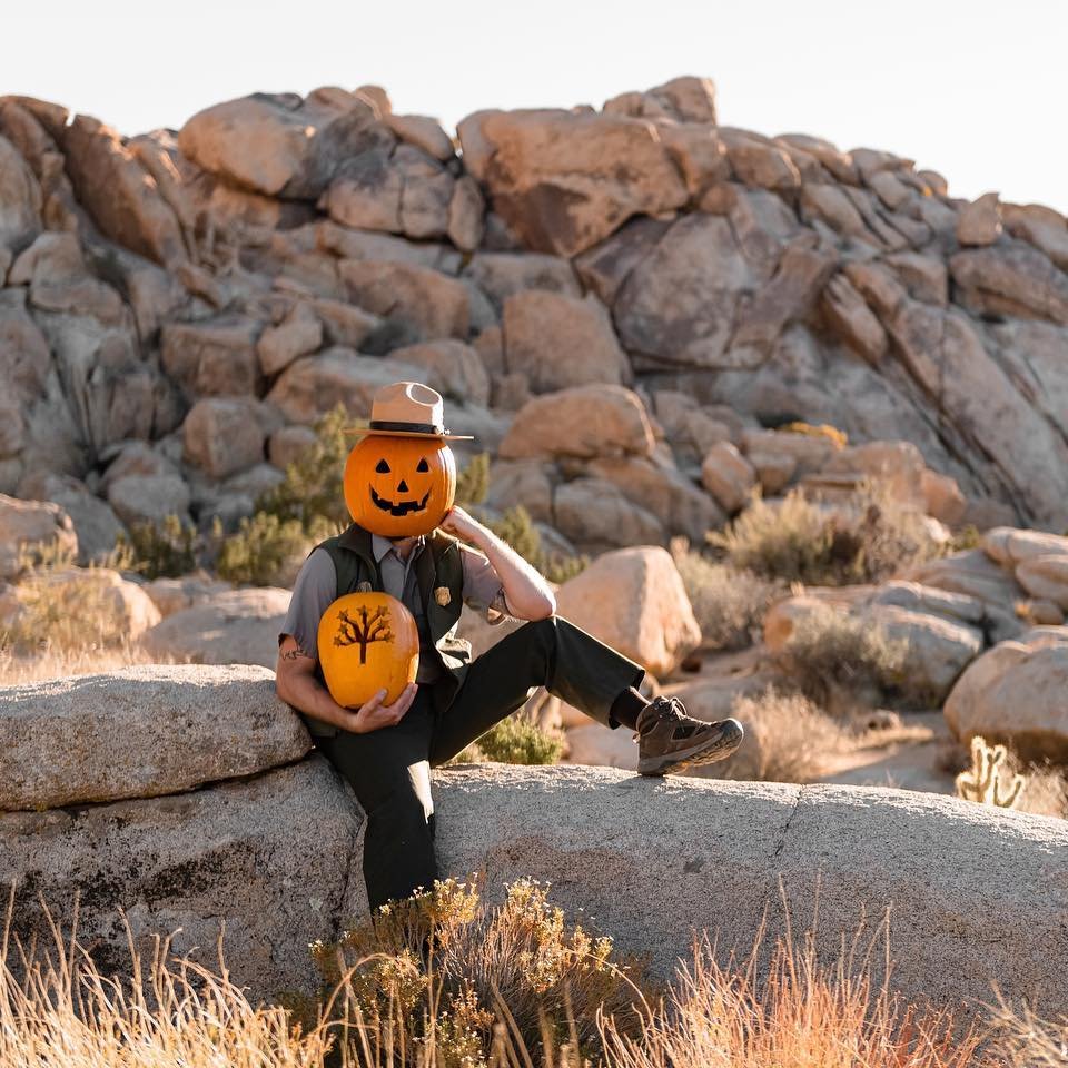 "The pumpkin should rot off my head in a month or two." -Dwight Schrute
