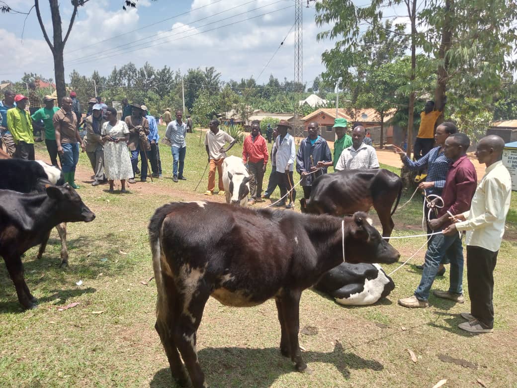 Rukomo Sector tweet media