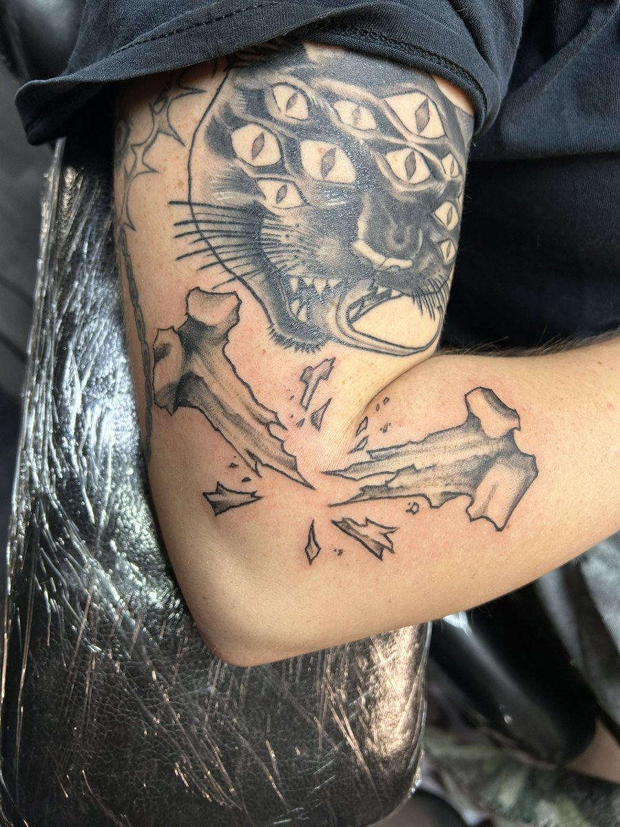 shredded cheese tweet media