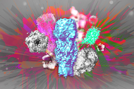 ONE microscopy: from molecule to 3D structure with conventional microscopy #NBTintheNews via <a href="/yourUMG/">Universitätsmedizin Göttingen (UMG)</a> umg.eu/en/news-detail…