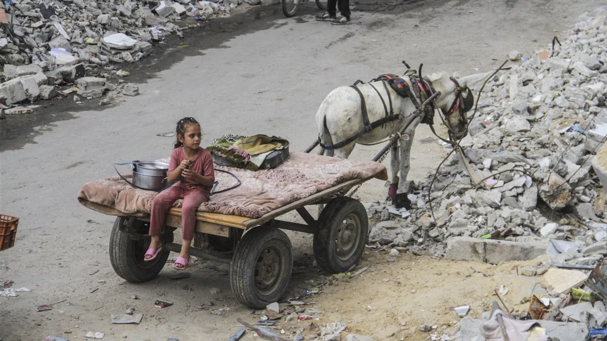 RTL Nieuws tweet media