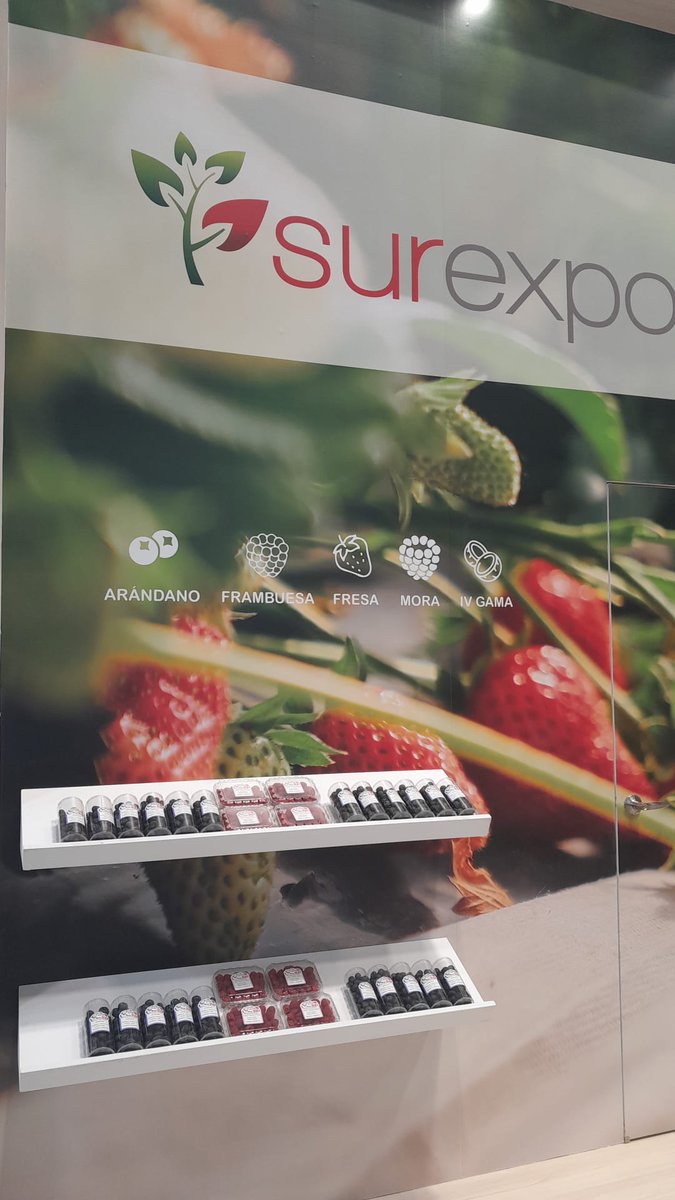 Surexport Berries tweet media