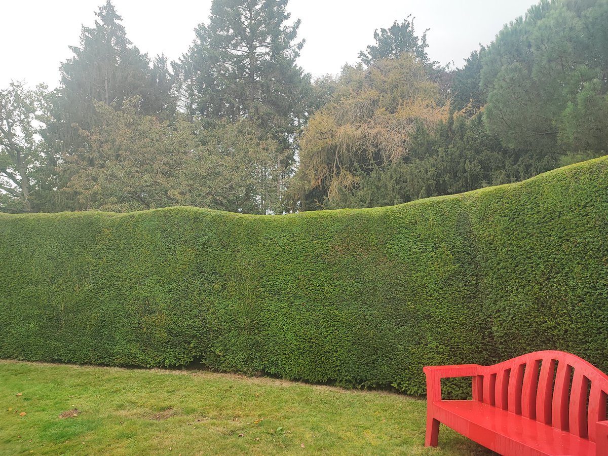 Kenny Higgs tweet media