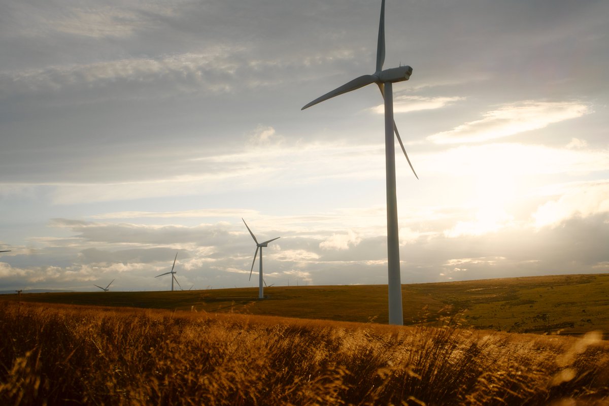 Today is #WorldMentalHealthDay 💚

To learn more about preserving your mental health and well-being, visit: mind.org.uk/information-su…