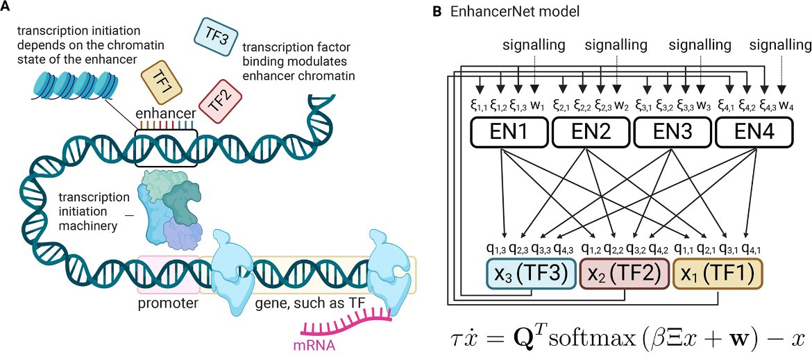 EnhancerNet: a predictive model of cell identity dynamics through enhancer selection

Read this #OpenAccess Article by Omer Karin <a href="/omer_karin/">Omer Karin</a> <a href="/ImperialMaths/">Imperial_Maths</a>:
journals.biologists.com/dev/article/15…