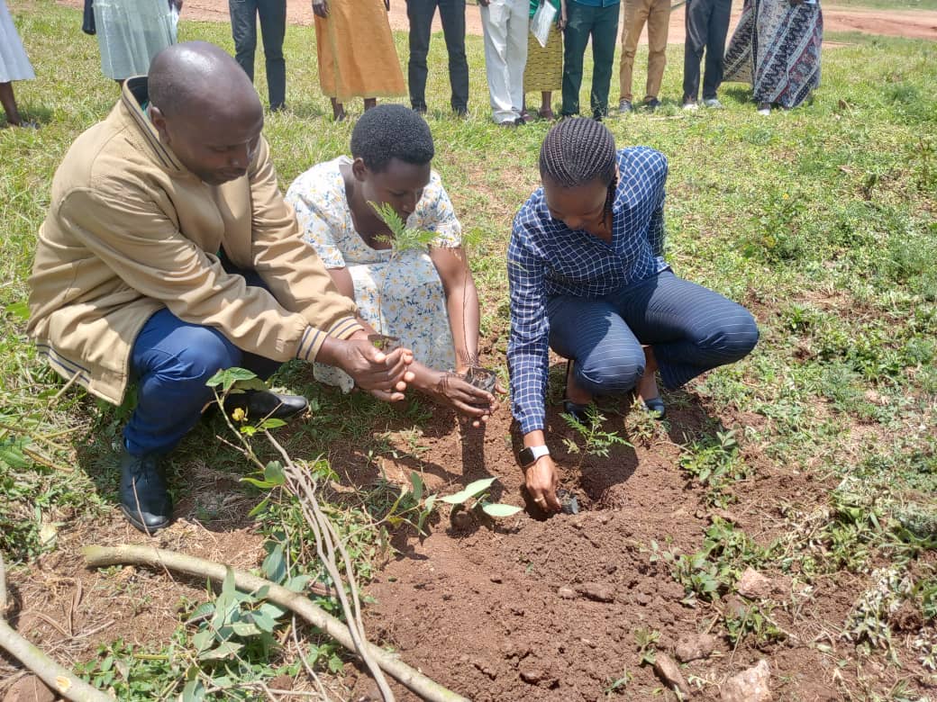 Rukomo Sector tweet media