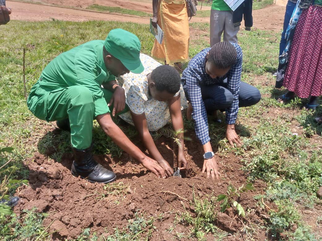 Uyu munsi Umunyamabanganshingwabikorwa w’Umurenge wa Rukomo yafunguye amahugurwa y’abajyanama bubuhinzi kuri gahunda yo gutera ibiti bivangwa n’Imyaka.