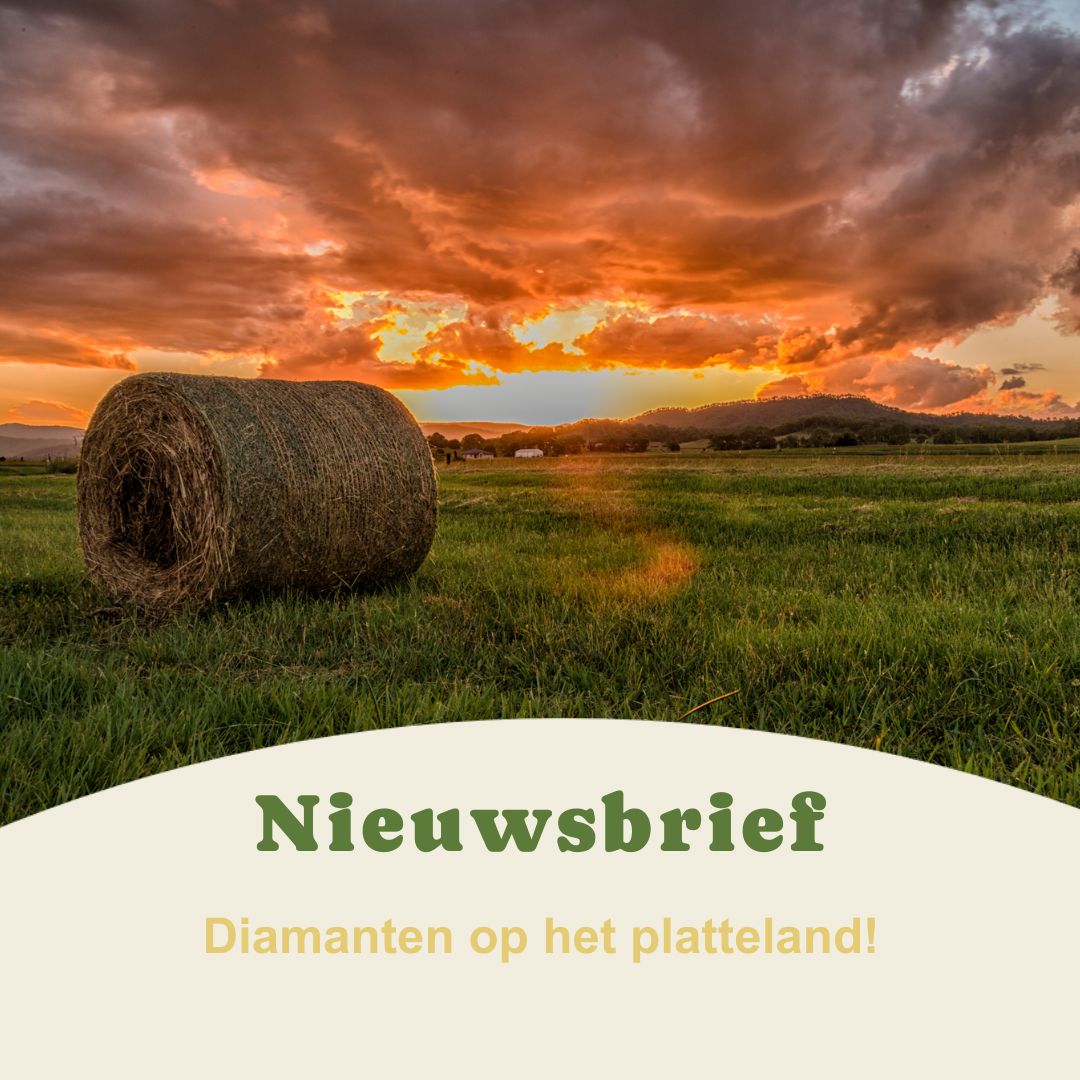 𝗜𝗻 𝗼𝗻𝘇𝗲 𝗻𝗶𝗲𝘂𝘄𝘀𝗯𝗿𝗶𝗲𝗳 𝗺𝗮𝗮𝗸 𝗷𝗲 𝗸𝗲𝗻𝗻𝗶𝘀 𝗺𝗲𝘁 𝗙𝗿𝗮𝗻𝗸, 𝗲𝗿𝗳𝗰𝗼𝗮𝗰𝗵𝗲𝘀 &amp; ‘𝗱𝗶𝗮𝗺𝗮𝗻𝘁 𝘃𝗮𝗻 𝗼𝗻𝘀 𝗽𝗹𝗮𝘁𝘁𝗲𝗹𝗮𝗻𝗱’. Lees hier de complete nieuwsbrief 👉tinyurl.com/2uz3vnbu #leefbaarplatteland