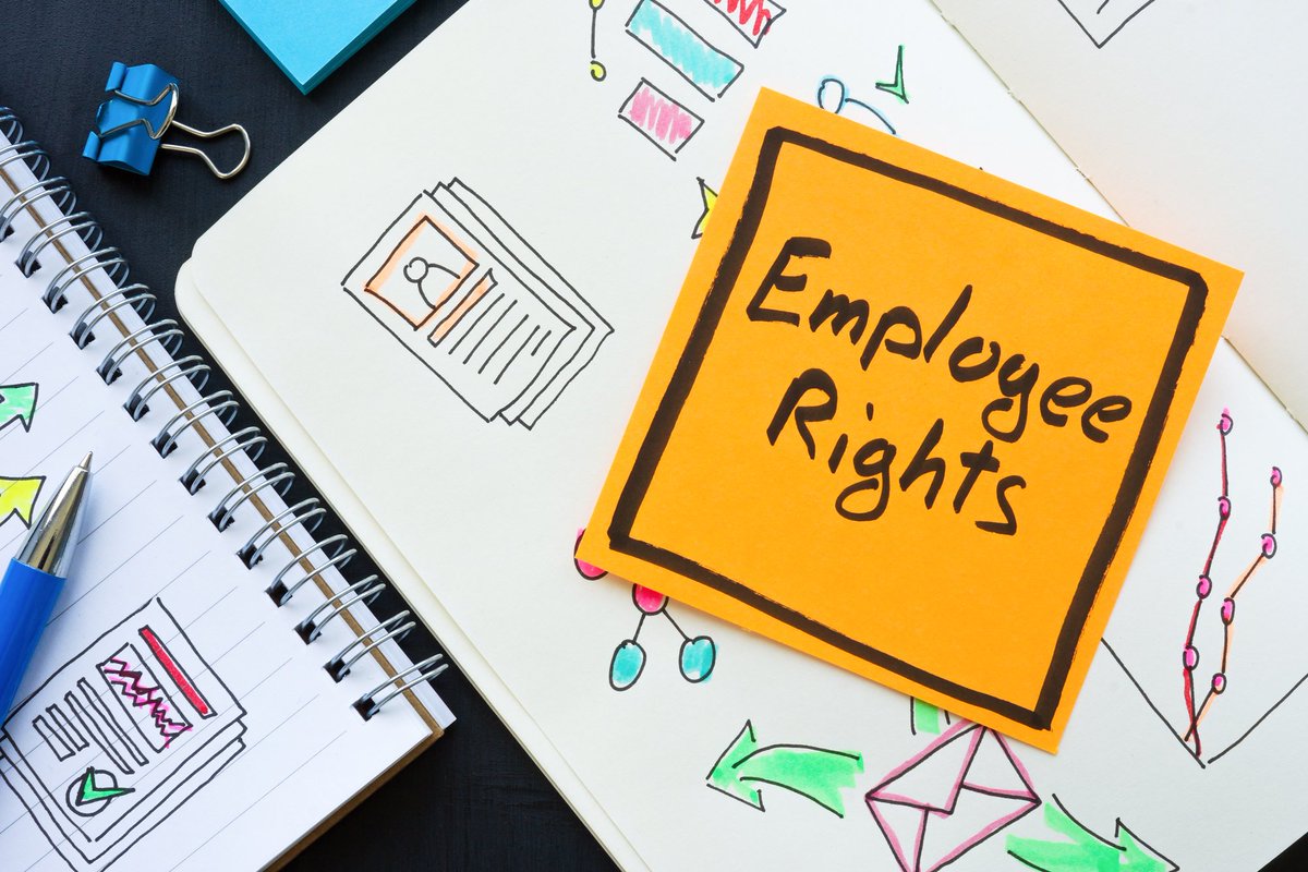 🚨 New Employment Rights Bill Announcement – What you need to know 🚨

Read our latest article to stay informed on what’s coming and when these changes might take effect! 👇 loom.ly/lYvYXZw 

#EmploymentRights #HR #EmploymentLaw