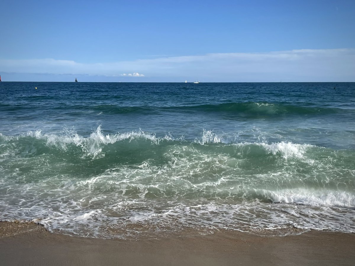 Vitamin Sea 
#PostdocLife