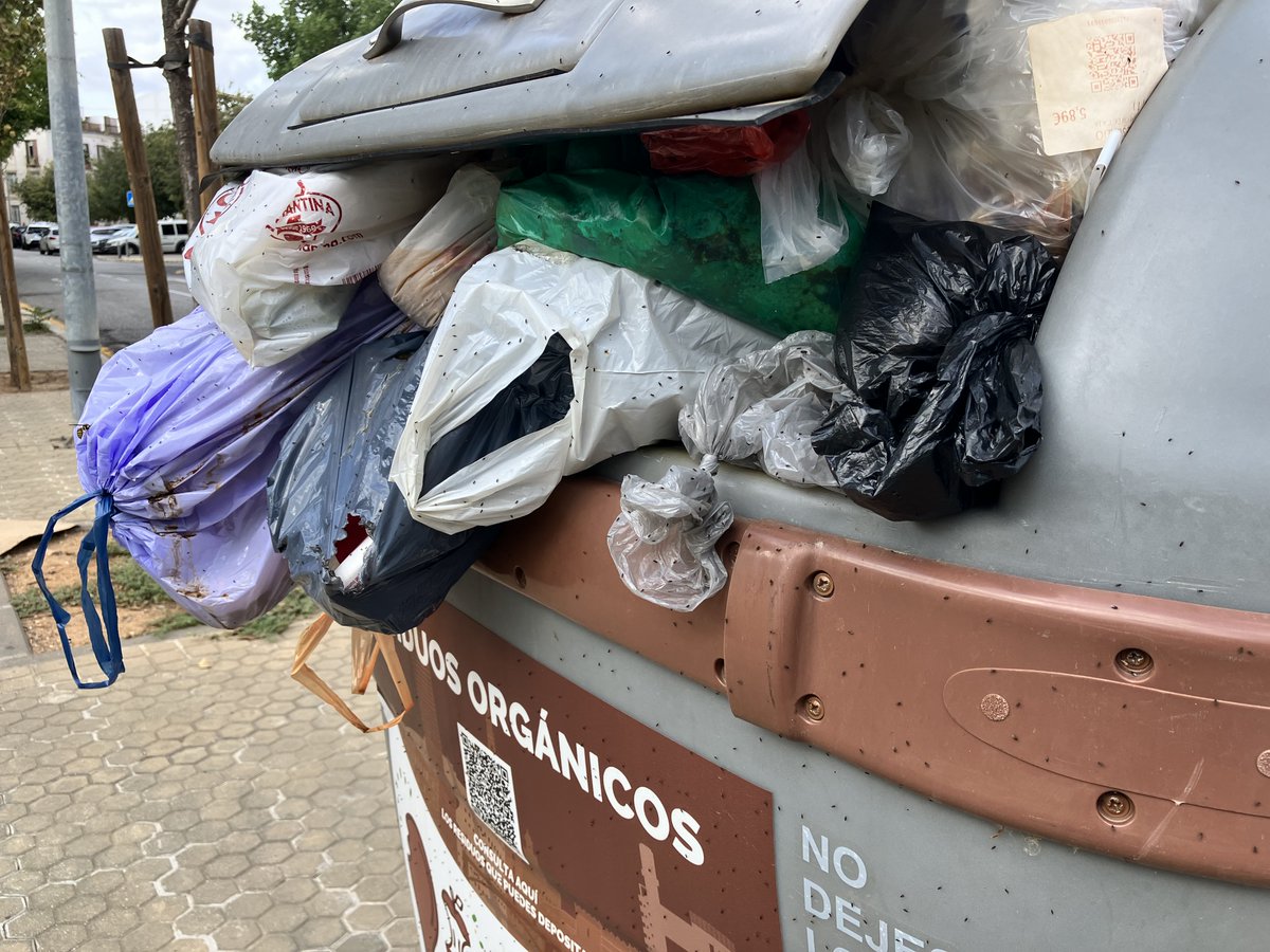 Luis Lastra tweet media