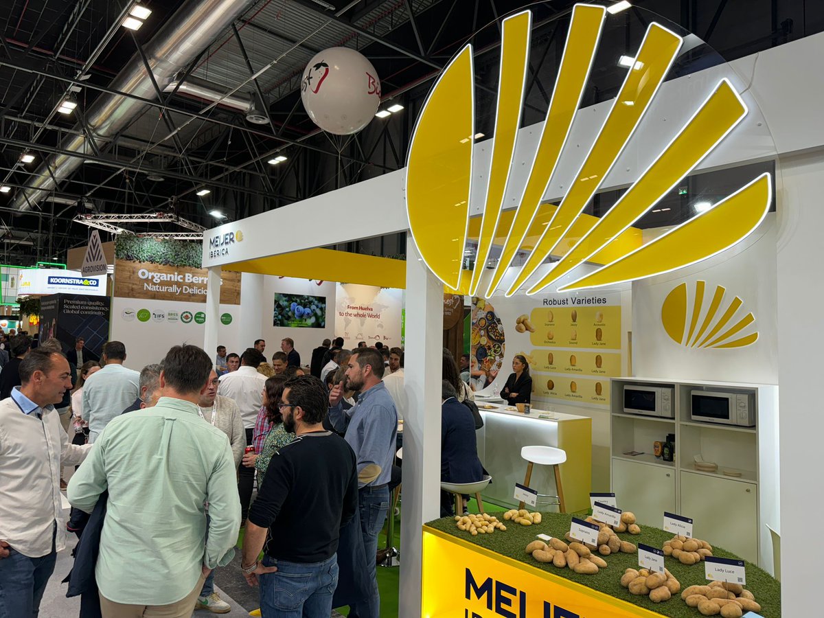 MeijerPotato's tweet photo. Fruit Attraction 2024: three busy, successful and enjoyable days for the Meijer group. Thank you all for joining us! 

#meijerpotato #buildingonpotential #fruitattraction2024 #potato #potatoes #exhibition https://t.co/jZVnVVRPyh